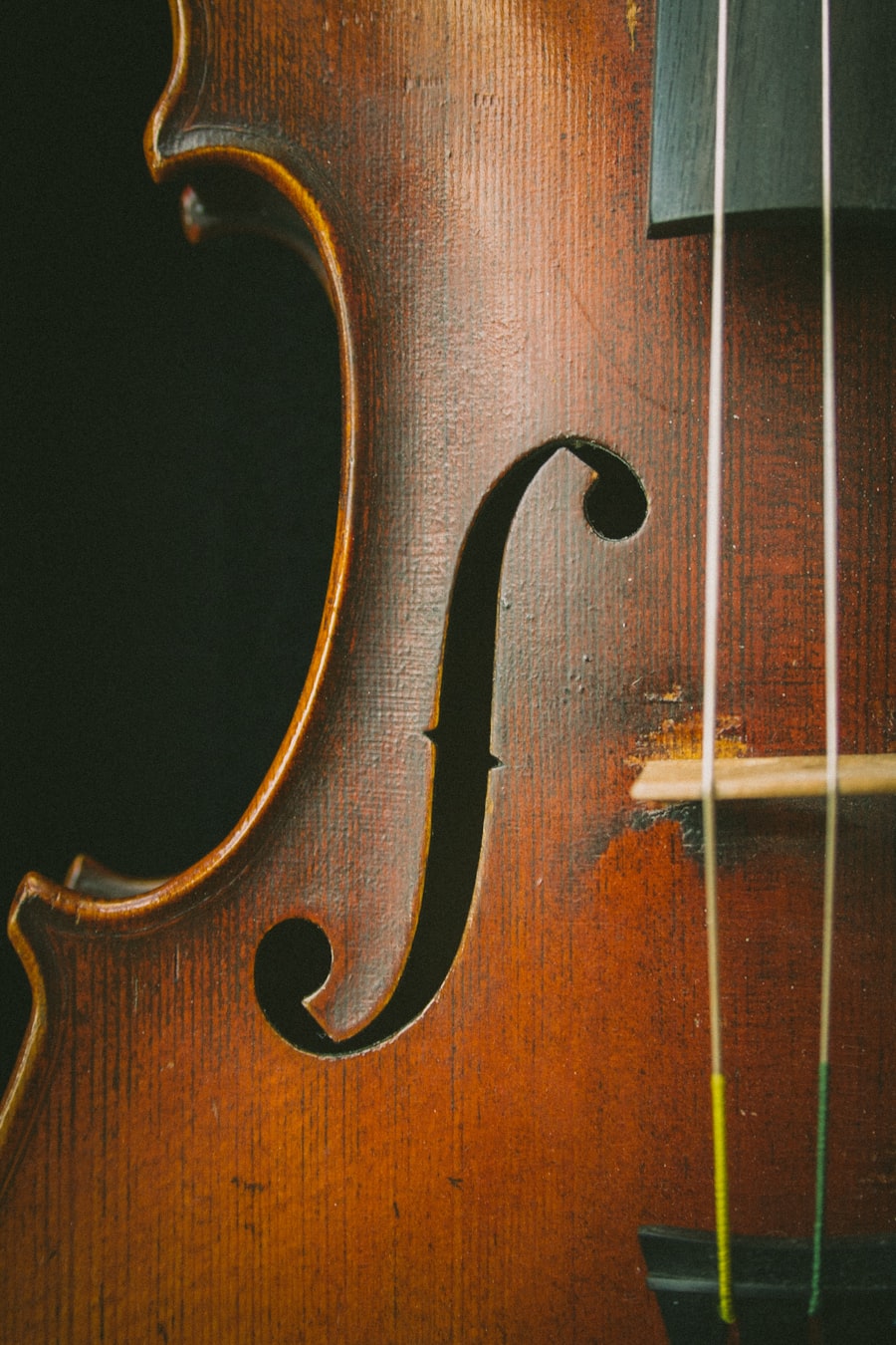 Close-up of a violin body, f-hole, and bow strings